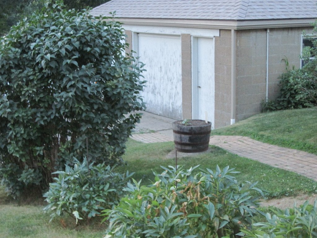 98-Bob & Denise's garage.jpg